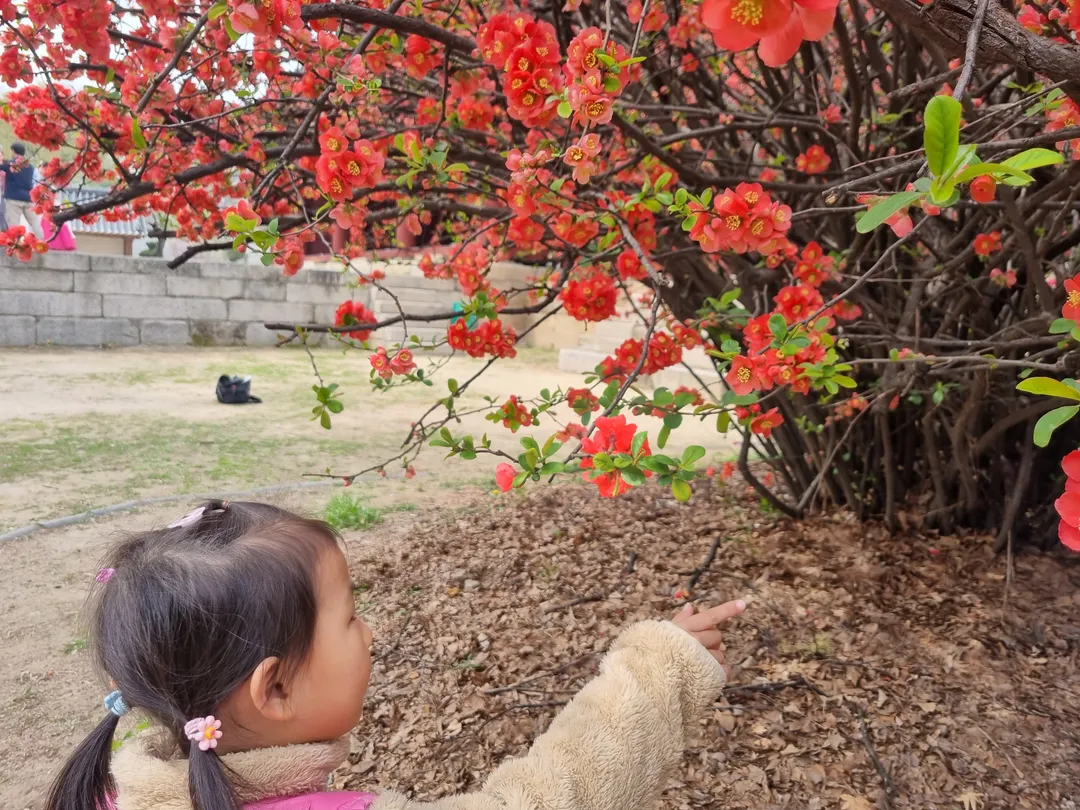 서울문묘 사진 6
