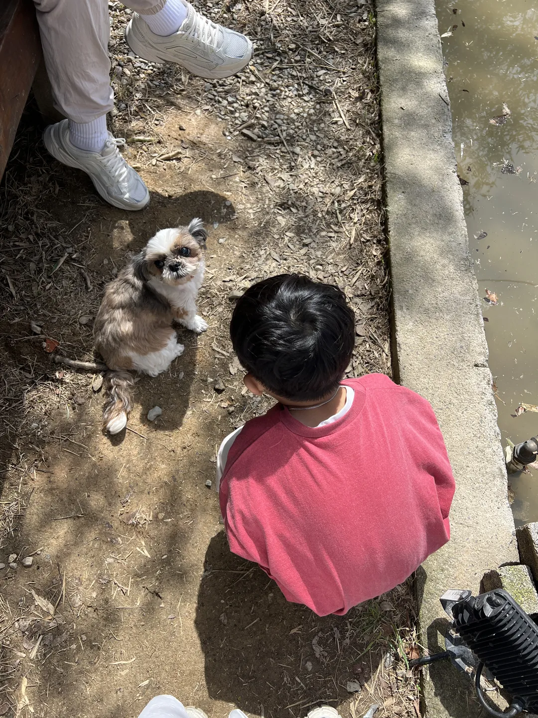 카페솔 사진 29