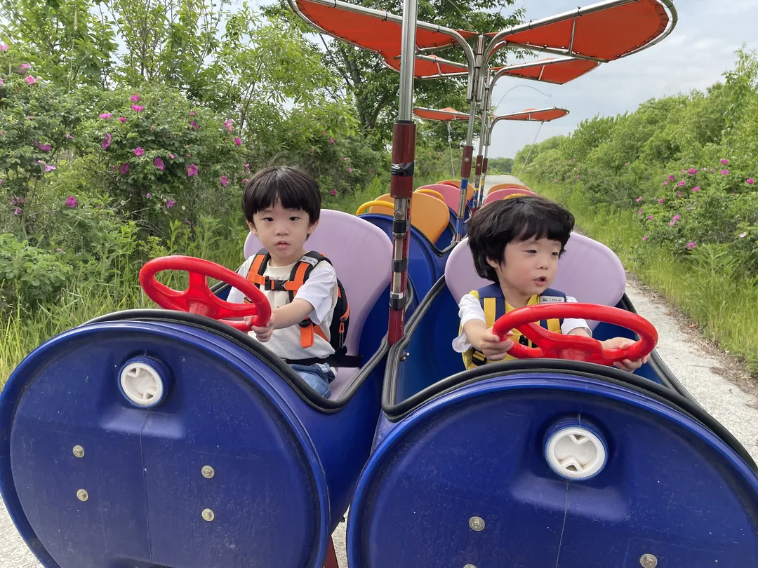 용안생태습지공원