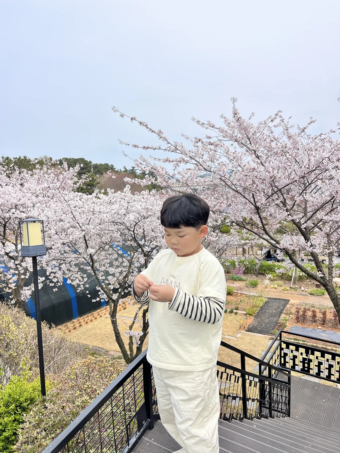 섬꾸지 사진 8