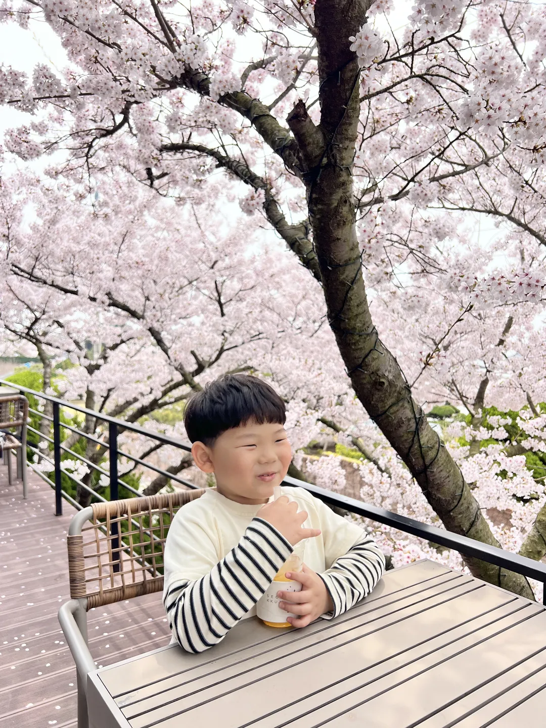 섬꾸지 사진 6