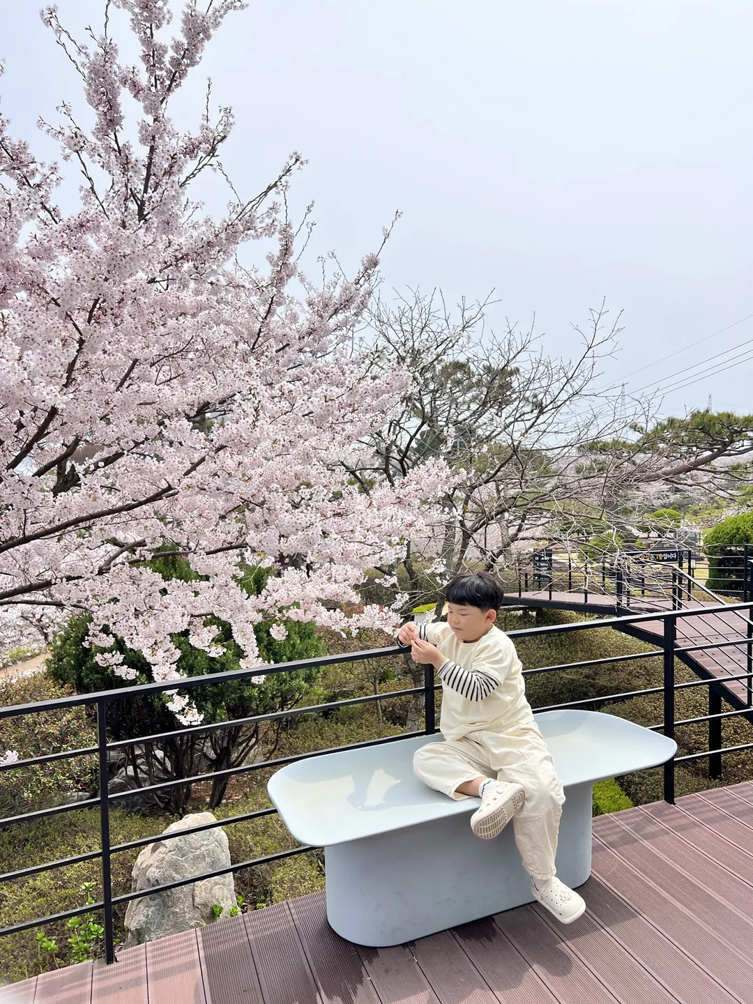 섬꾸지 사진 7