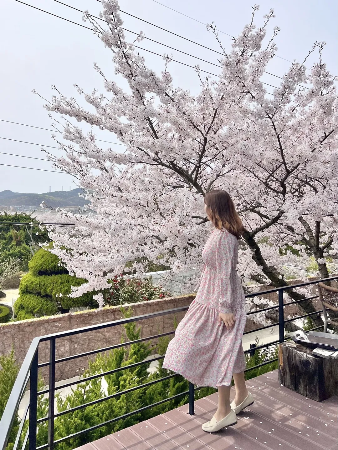 섬꾸지 사진 10