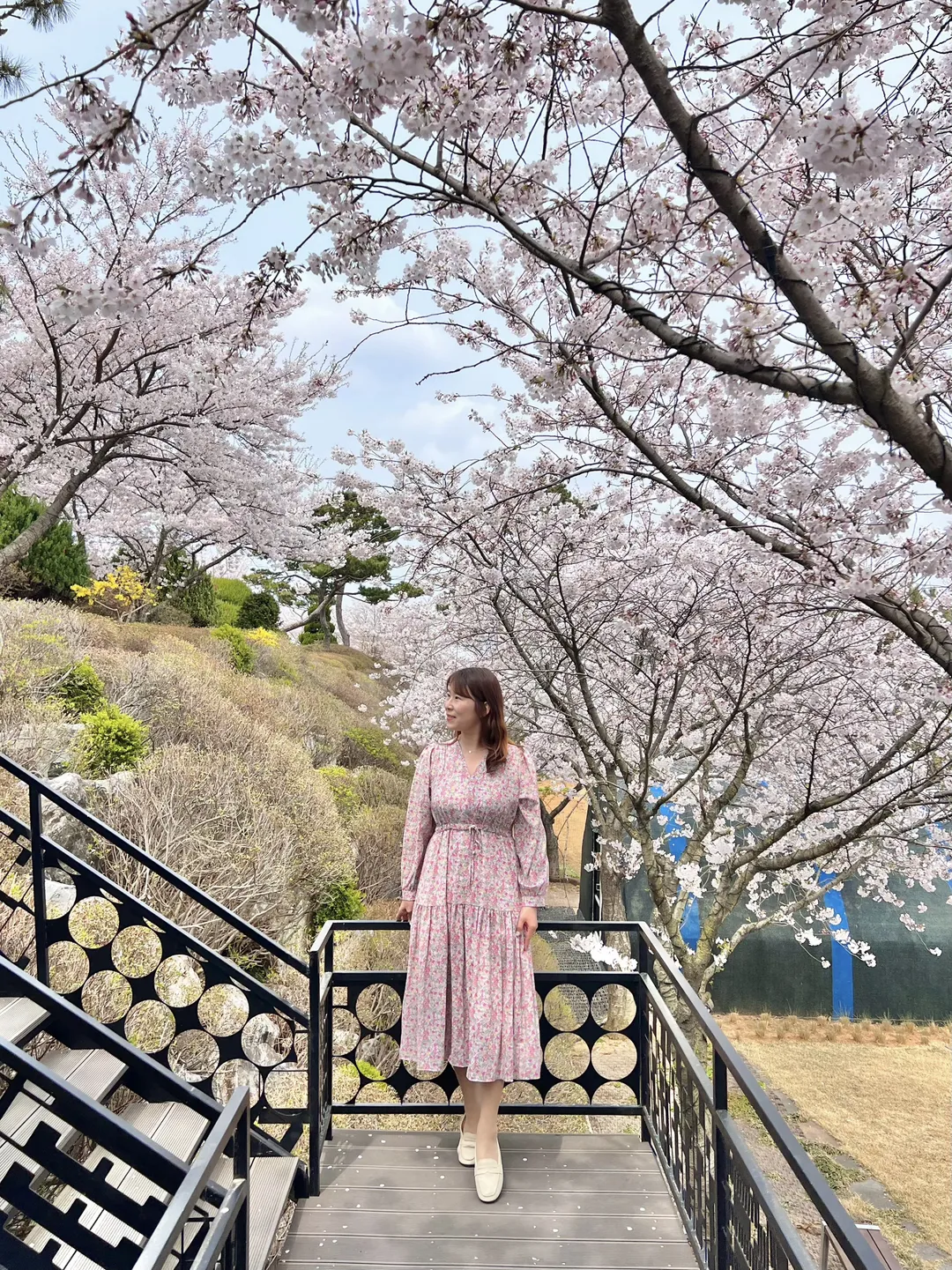 섬꾸지 사진 9