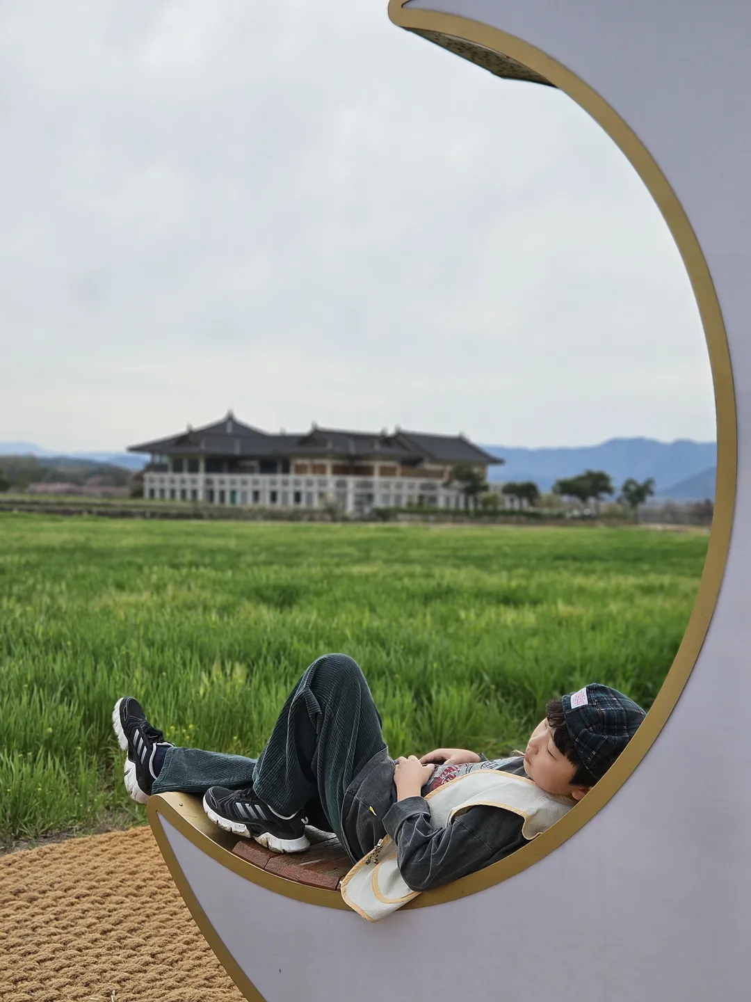 황룡사지 청보리밭