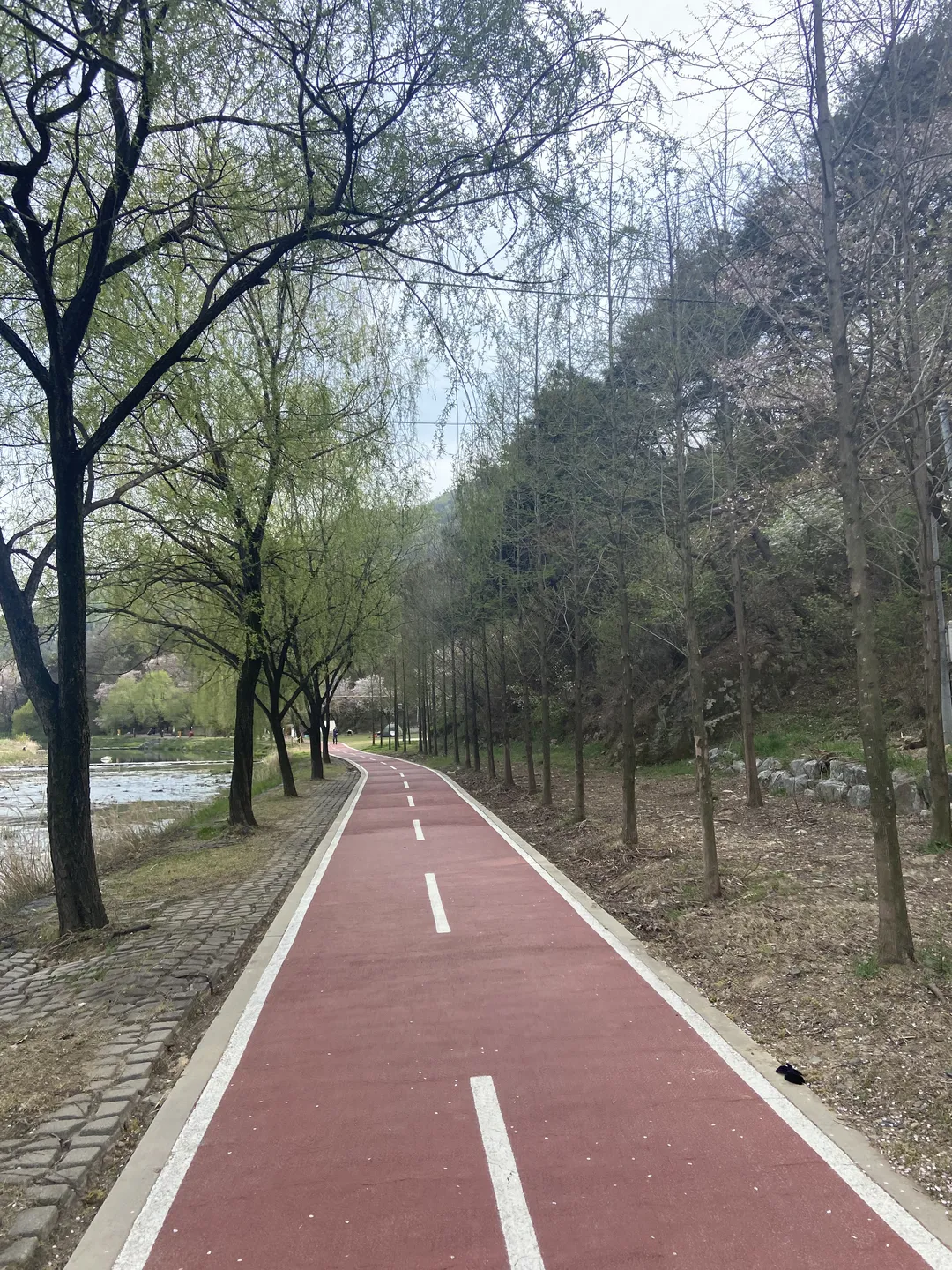 초지공원