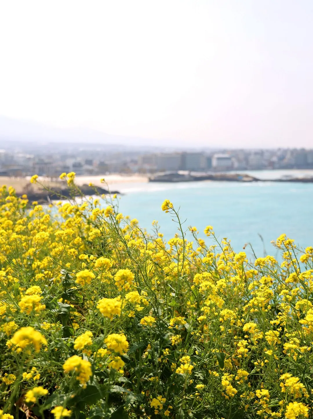 서우봉 사진 14