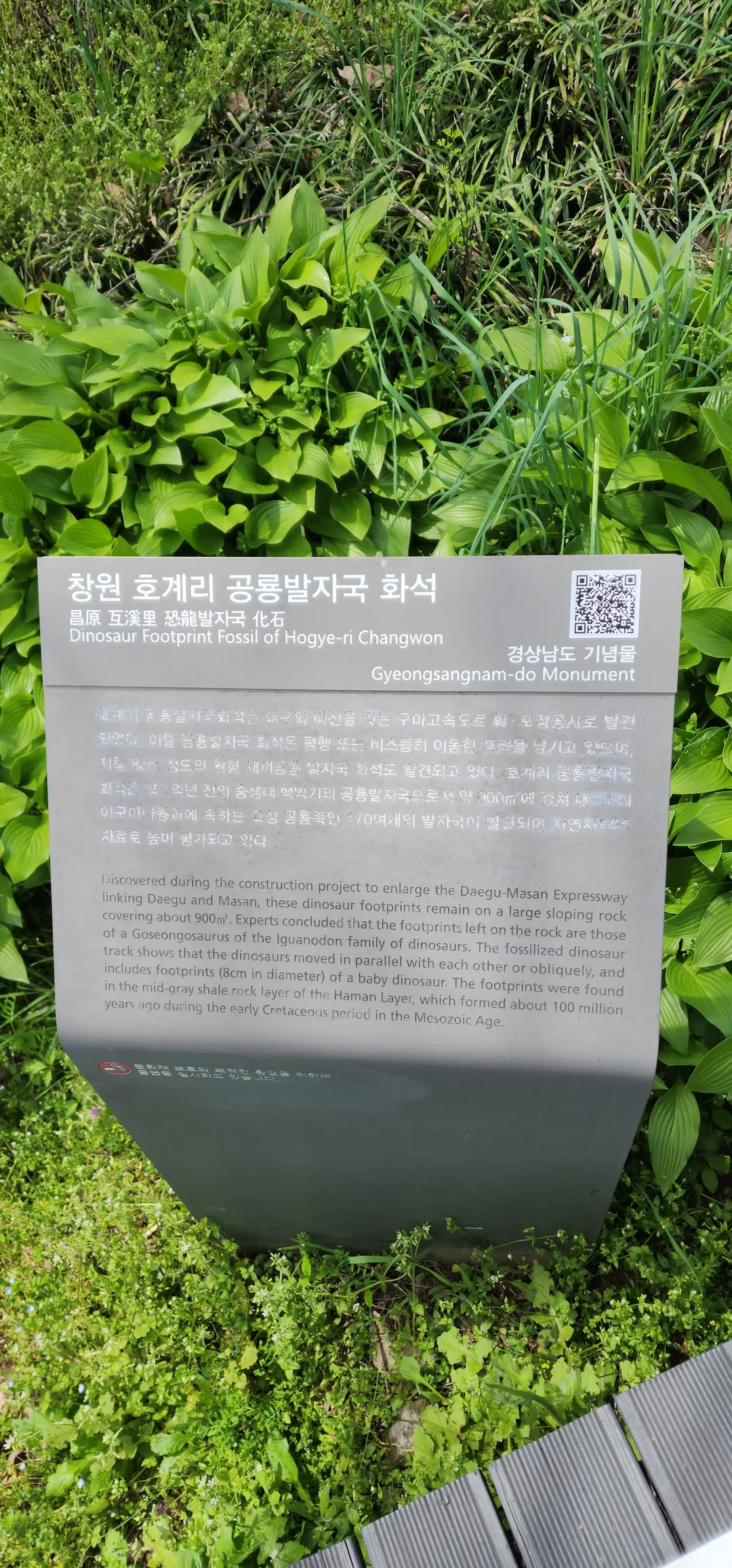 마산호계리공룡발자국화석 사진 9
