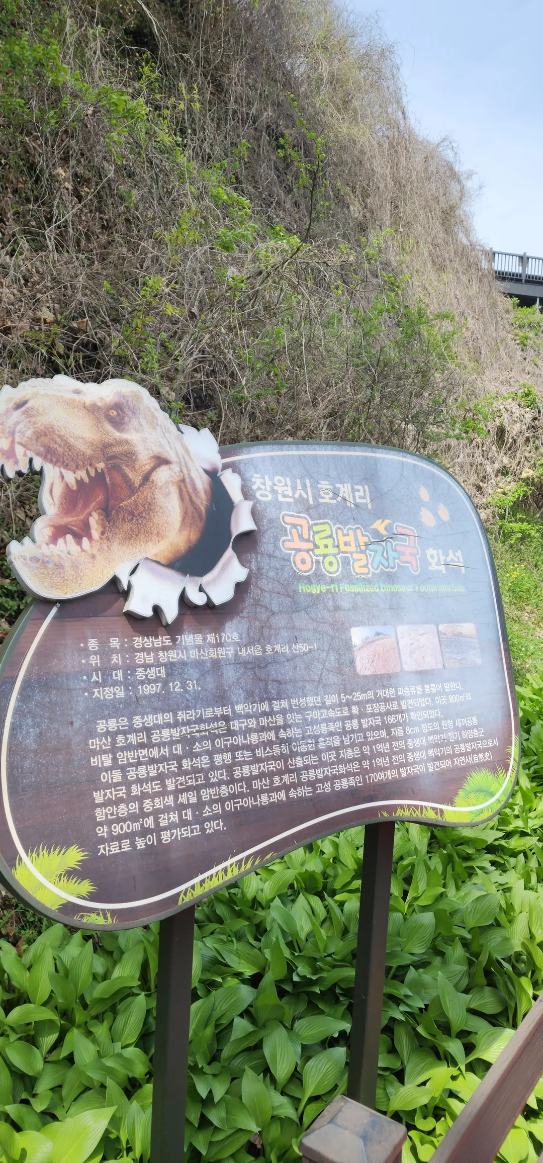 마산호계리공룡발자국화석 사진 10