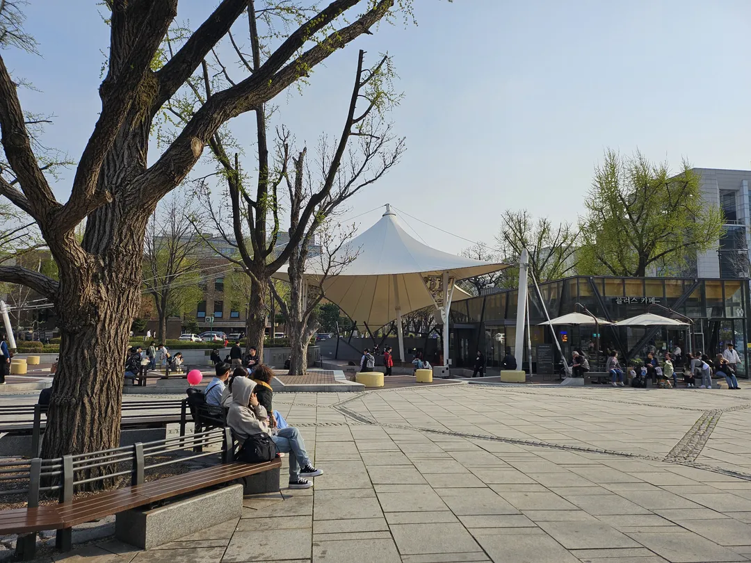 マロニエ公園 写真 15