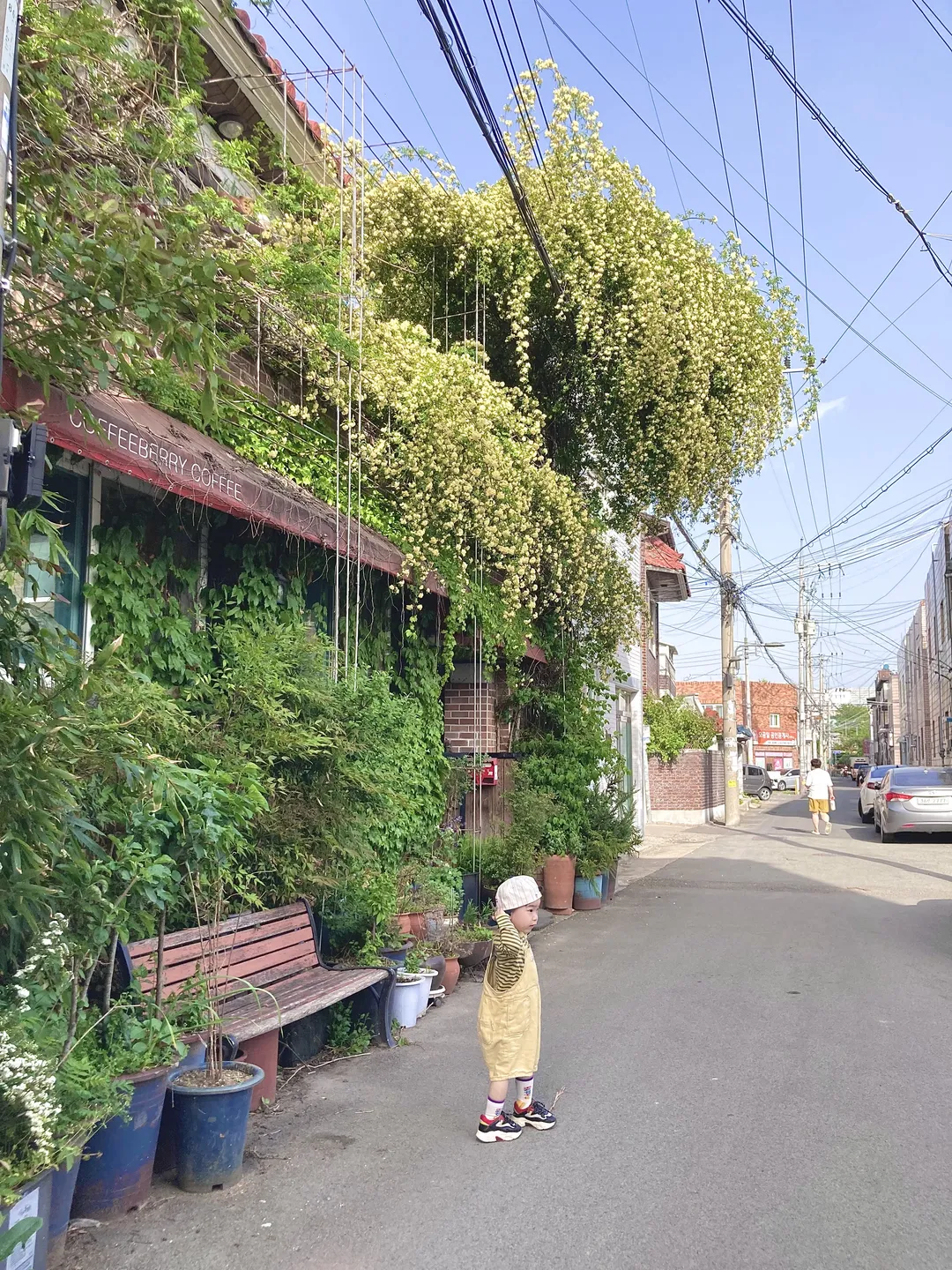 은휼강