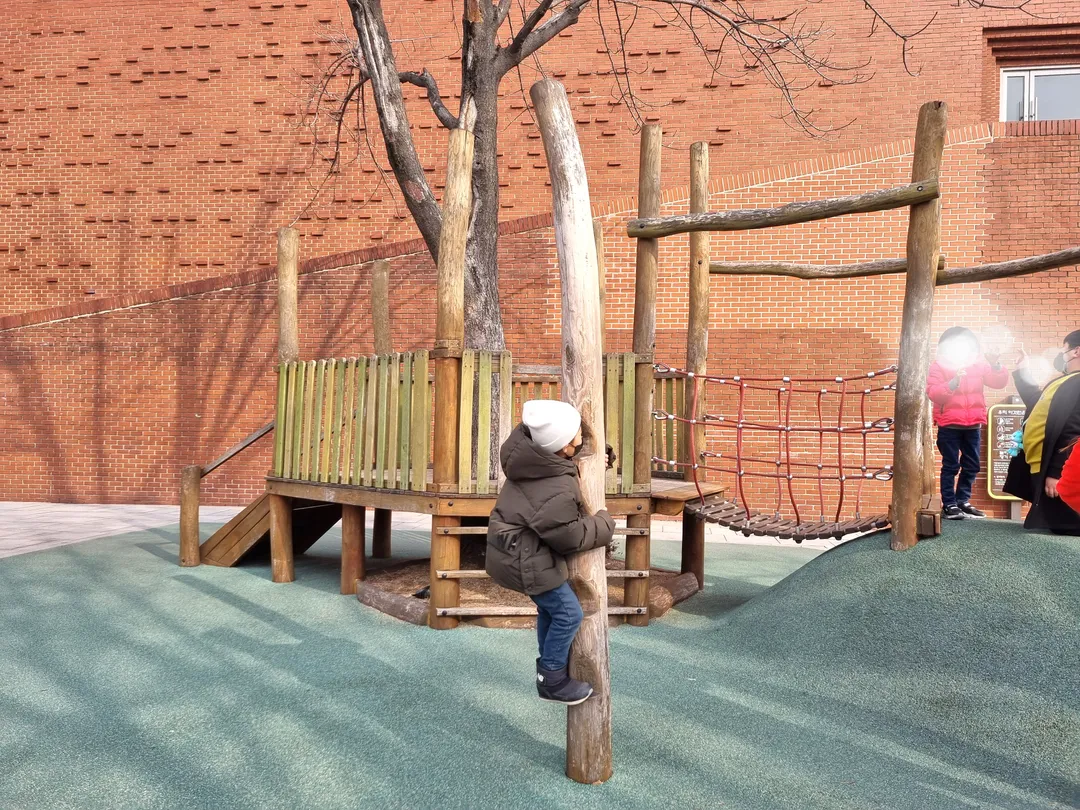 マロニエ公園 写真 8