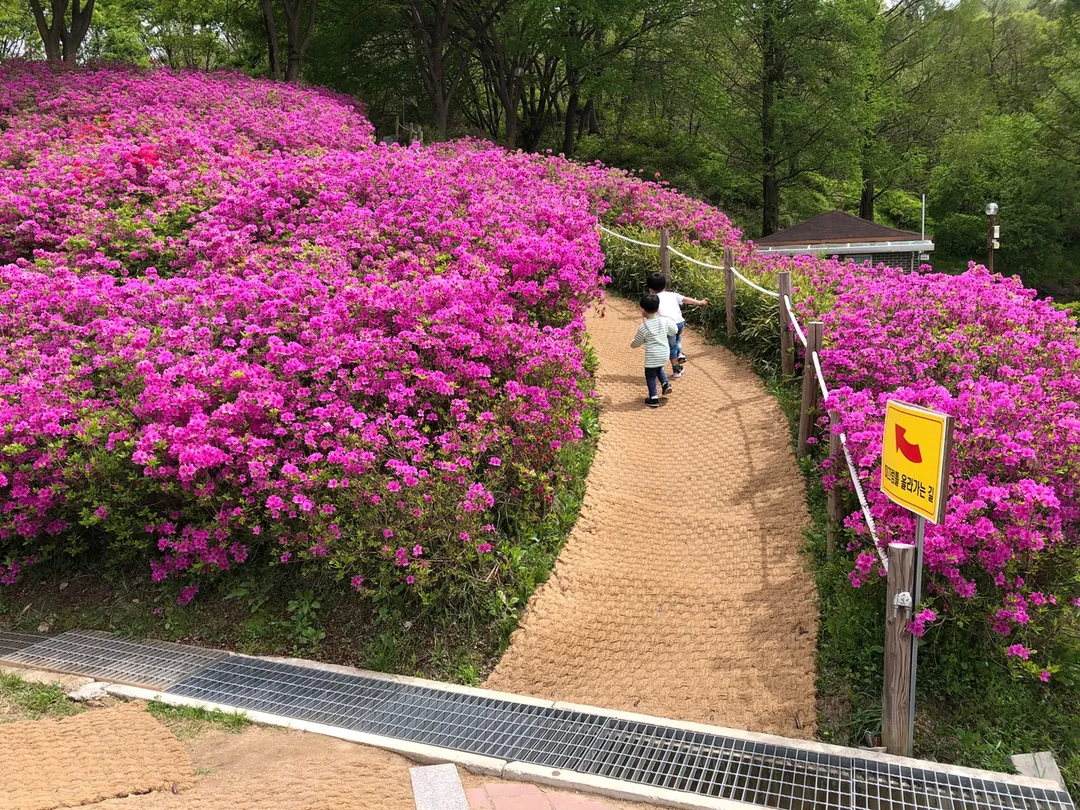 서동공원