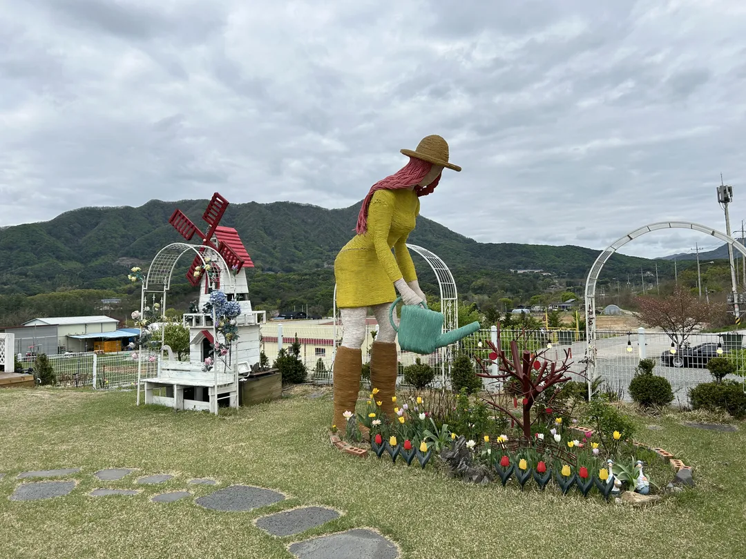 애플아일랜드 사진 9