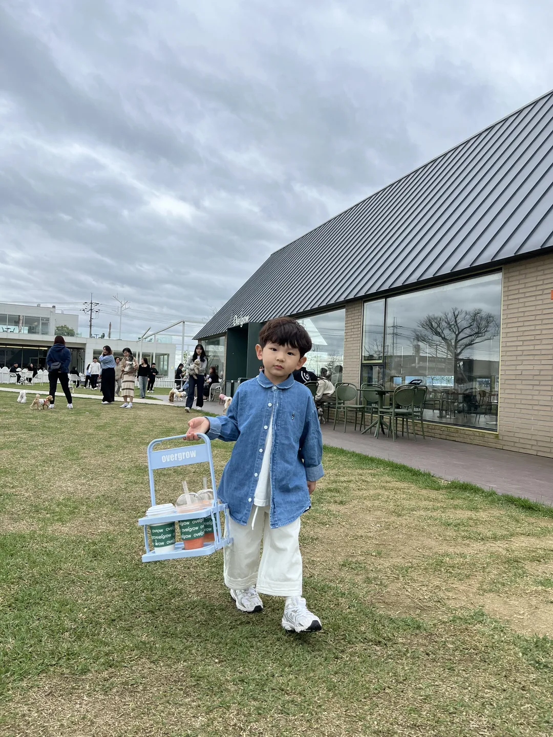 오버그로우