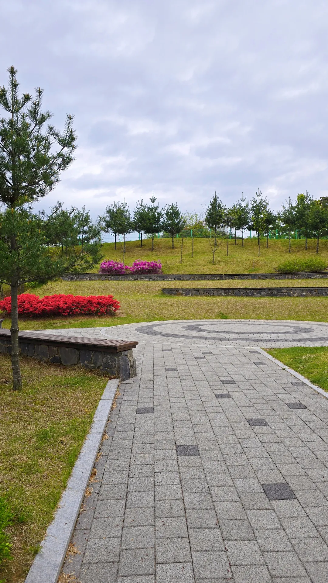 Yanggi District Children's Park photo 8