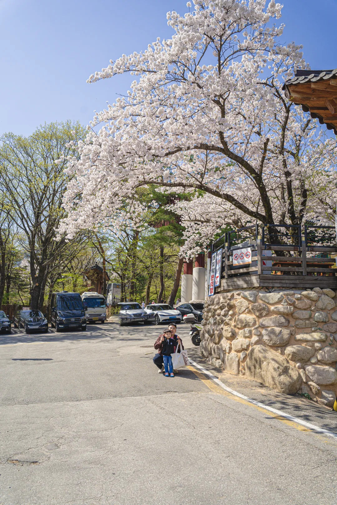 설악케이블카 사진 20