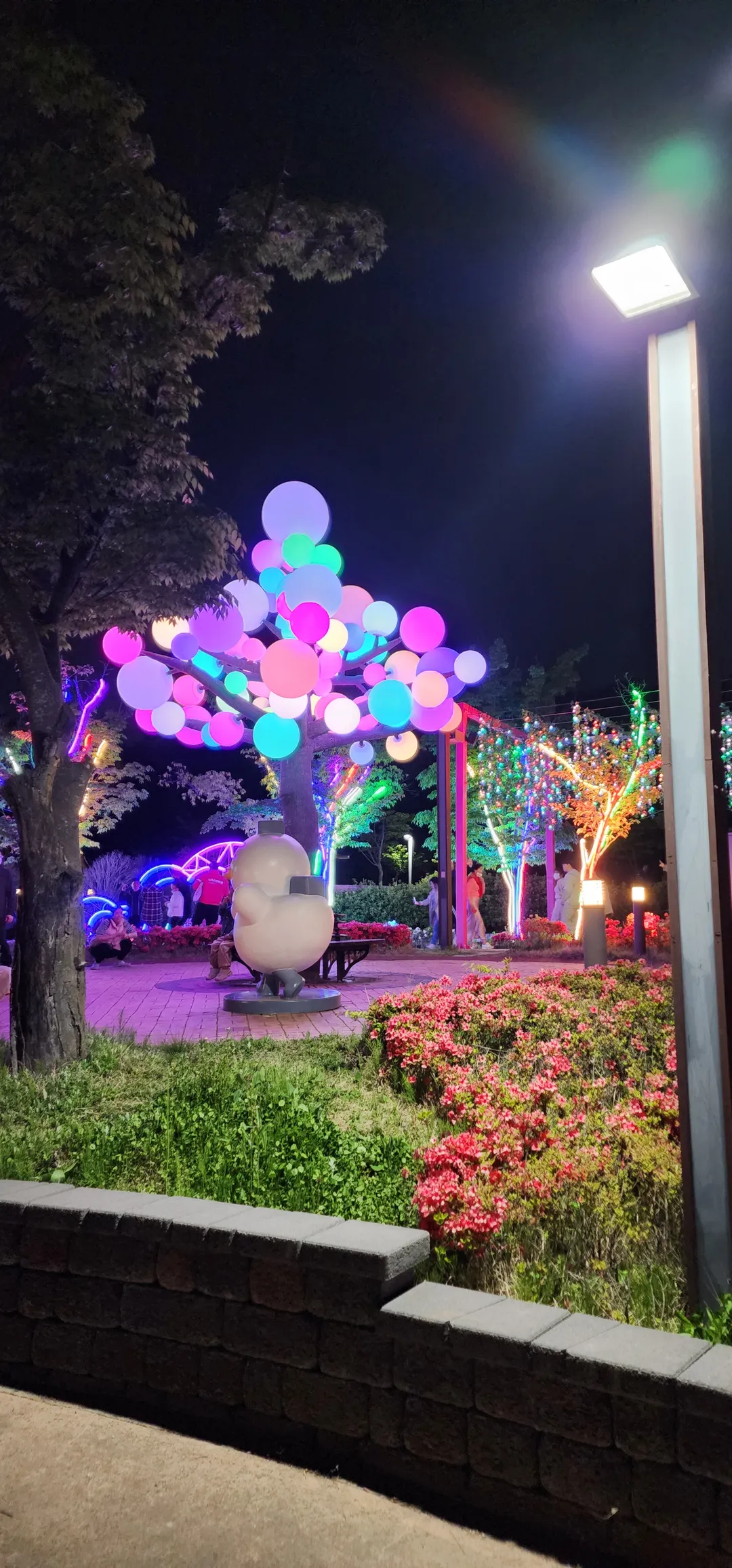 Gimhae Gaya Theme Park photo 19