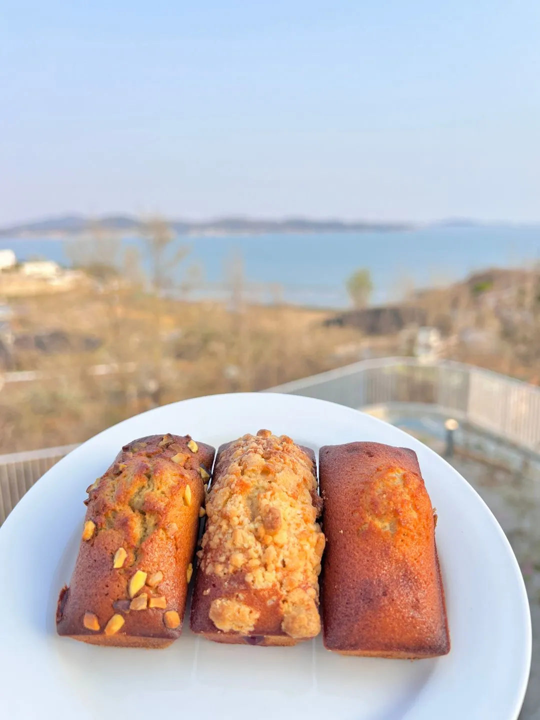 해갓 사진 9