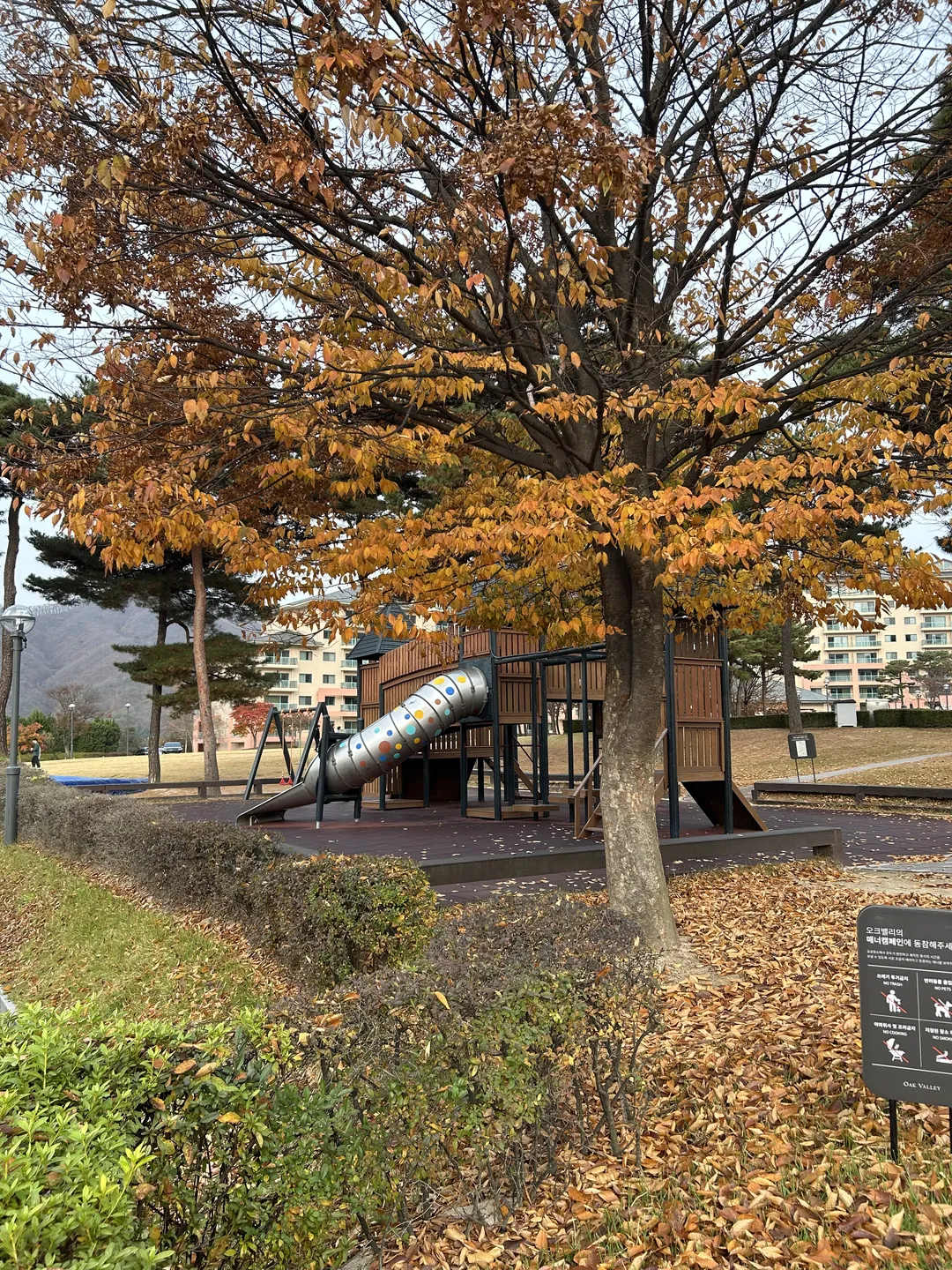 효자동설렁탕 오크밸리점