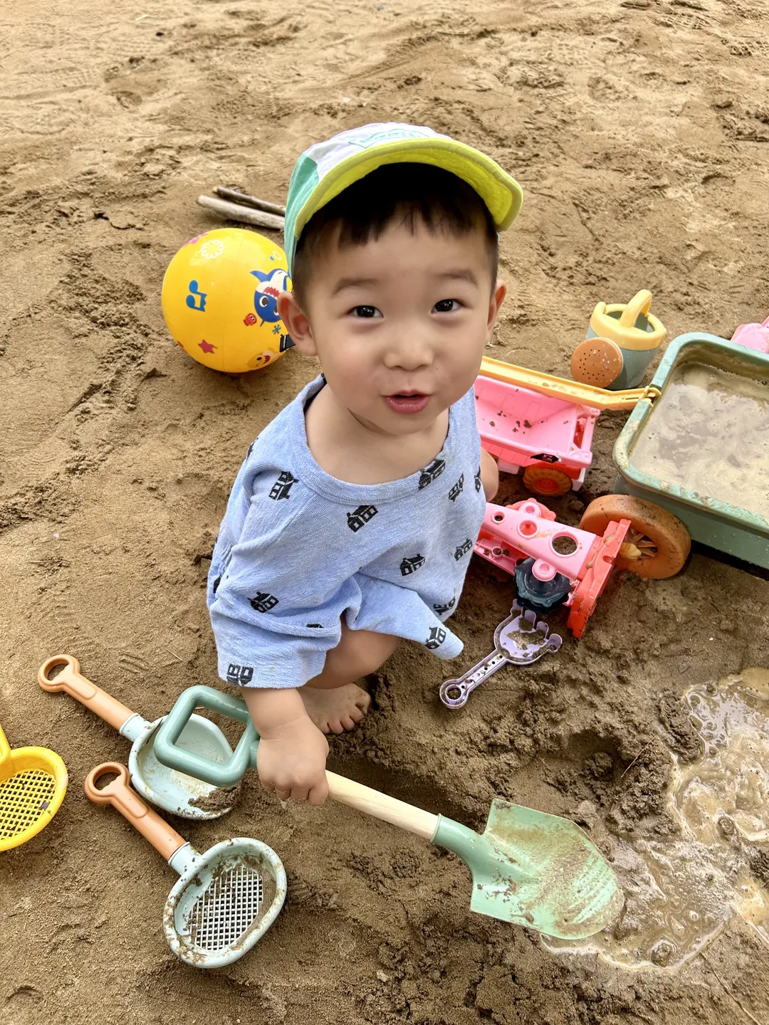 매헌시민의 숲