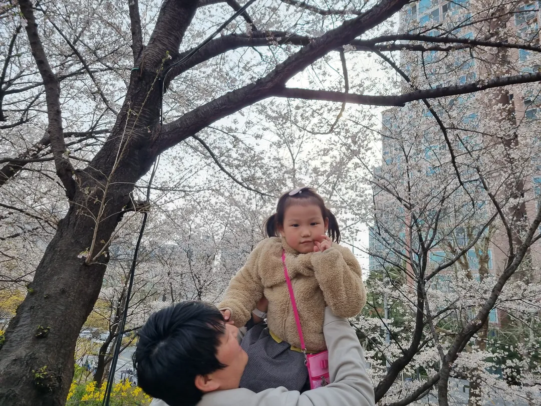 장안벚꽃길북카페