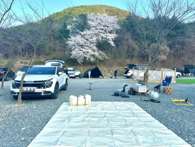 캠프어게인