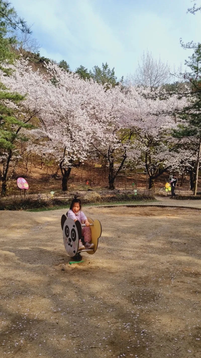 고산골어린이체험학습장