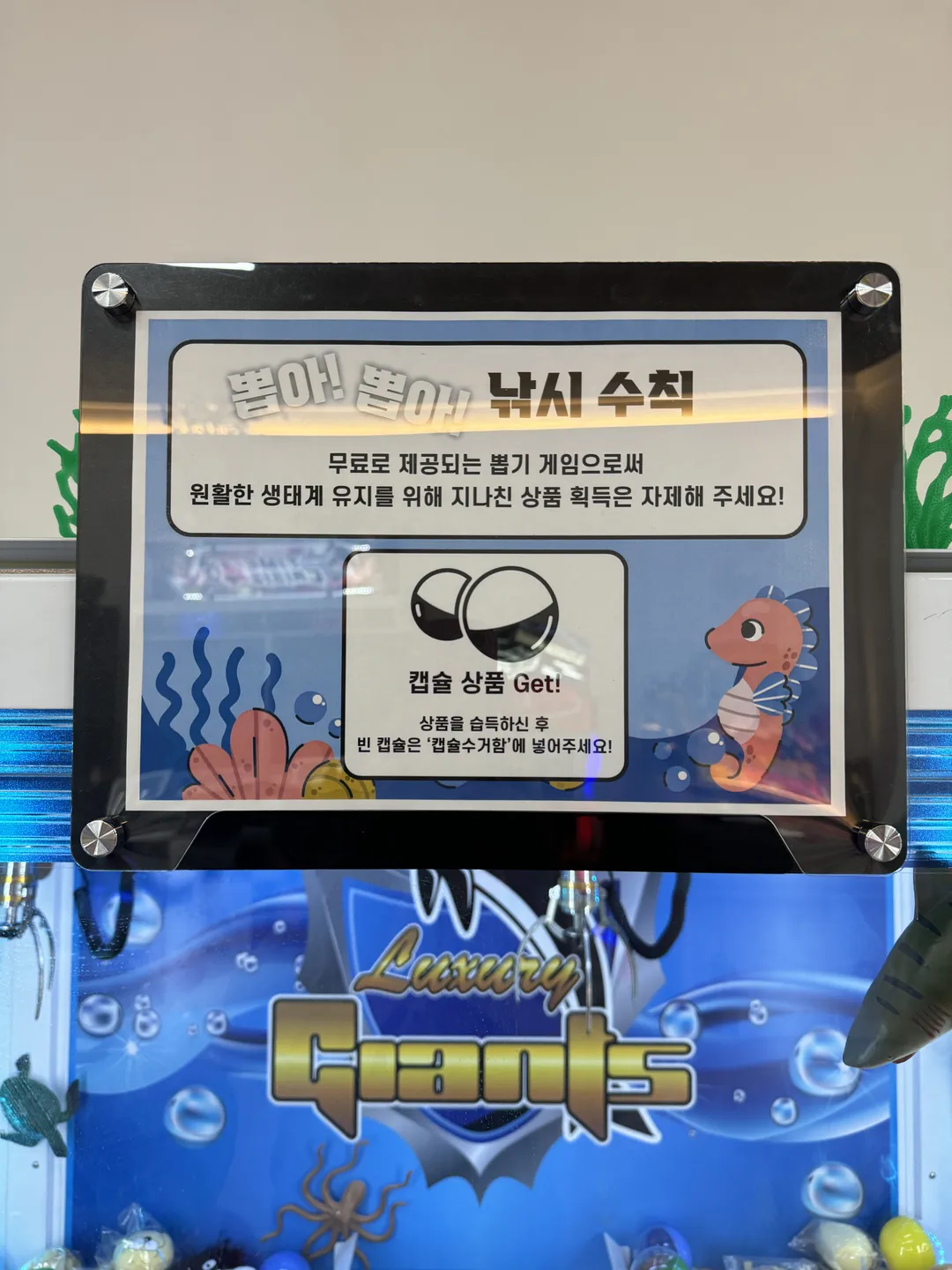 플레이모두 사진 21