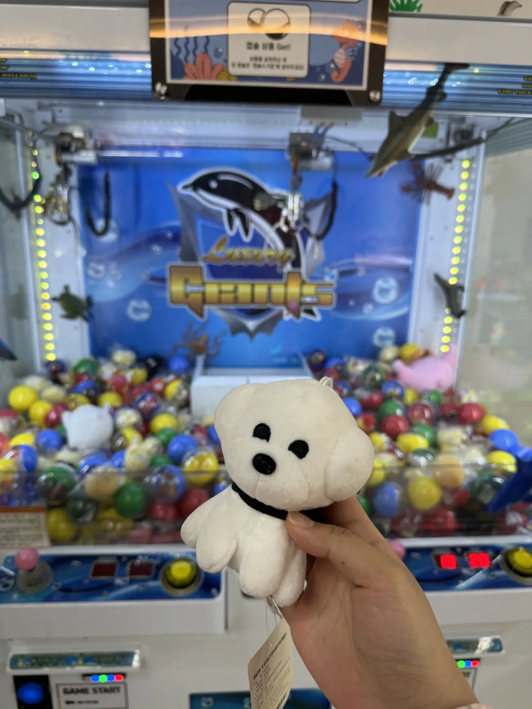 플레이모두 사진 11