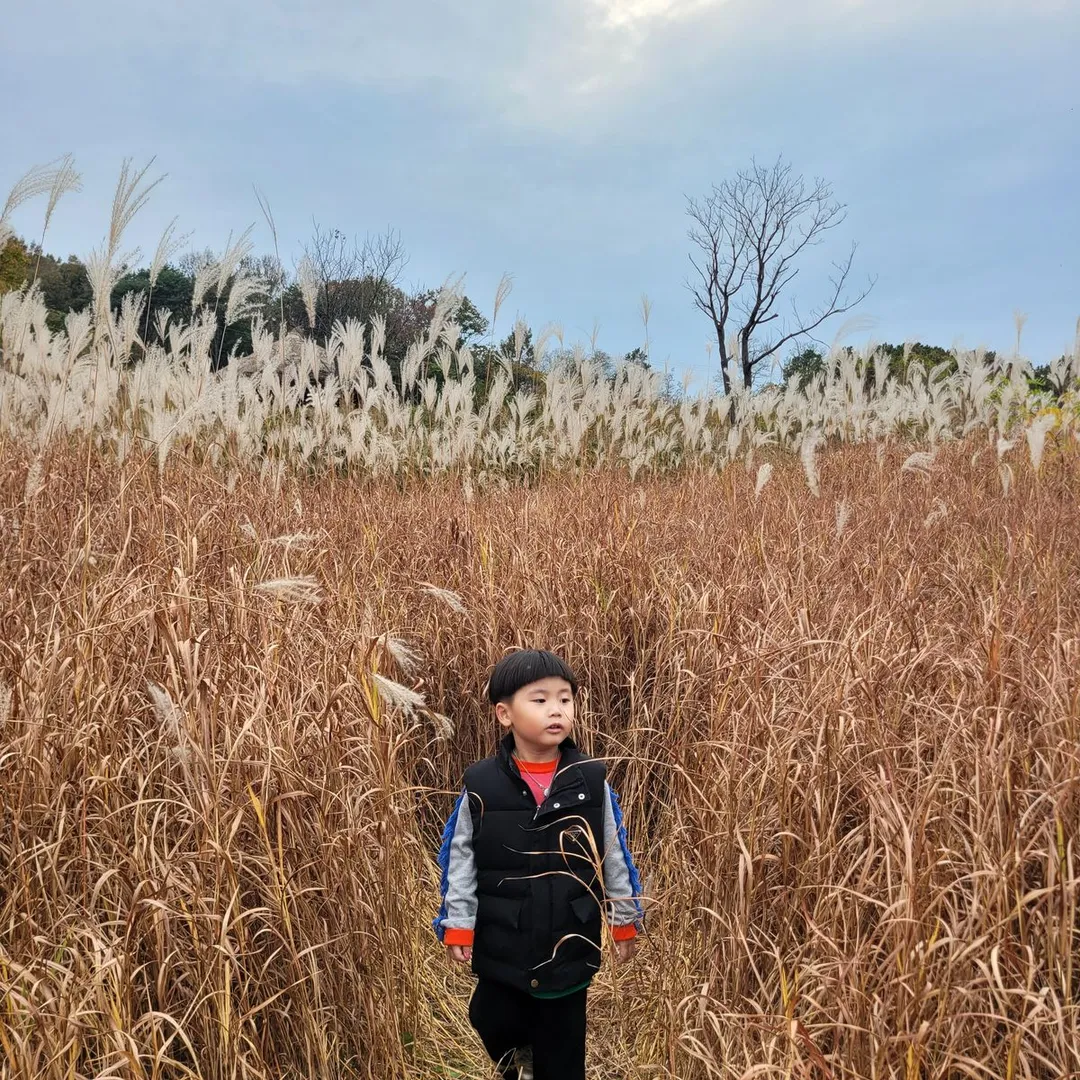 외암민속마을 사진 14