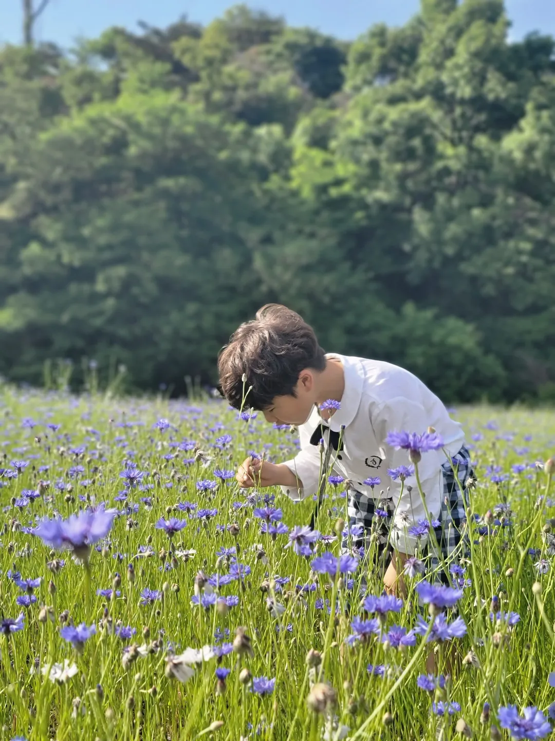 남양주한강공원 삼패지구