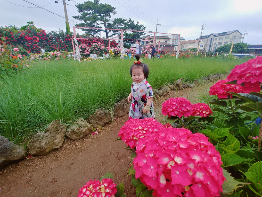 If You Go to Bukchon photo 6