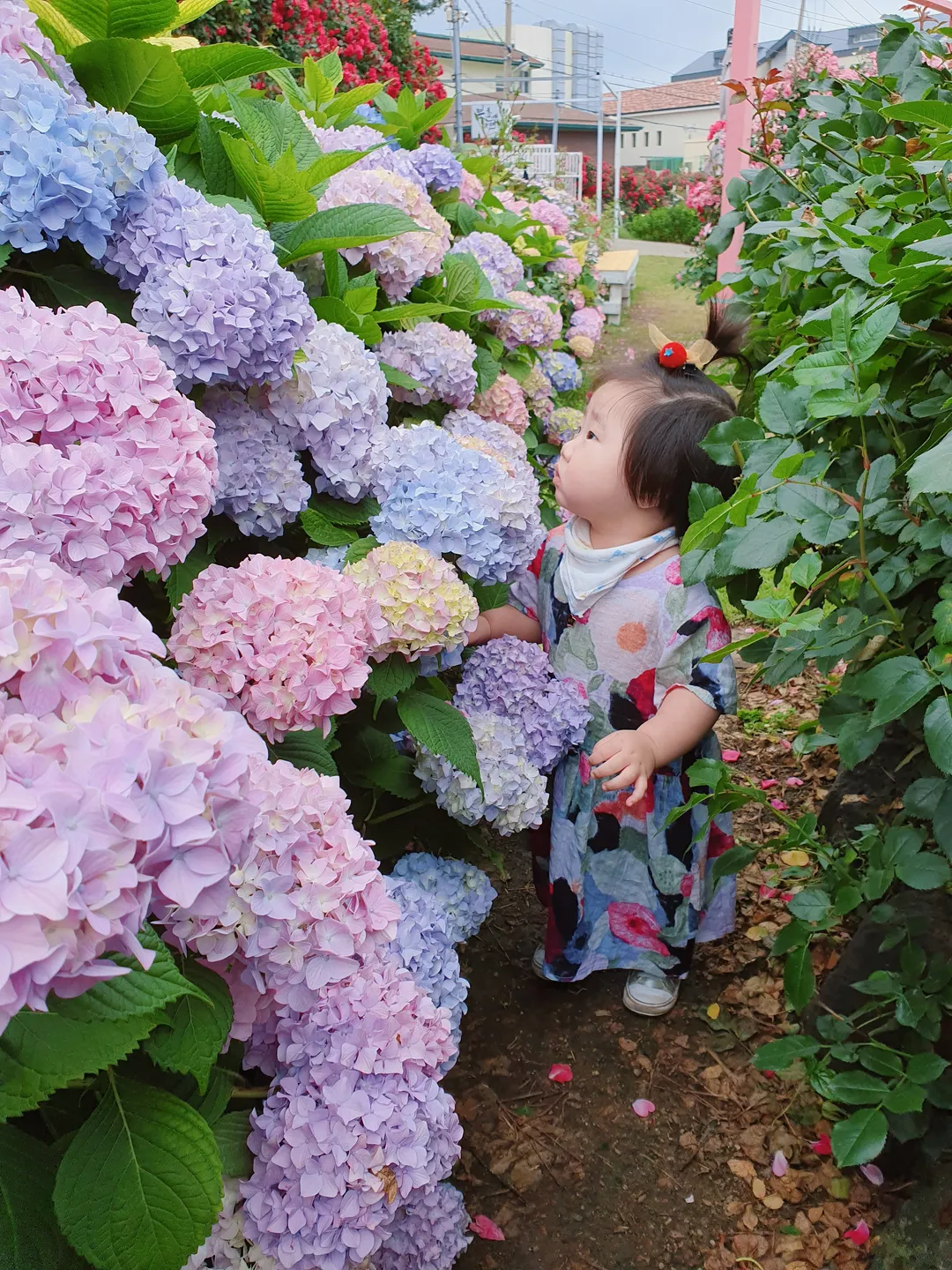 If You Go to Bukchon photo 7
