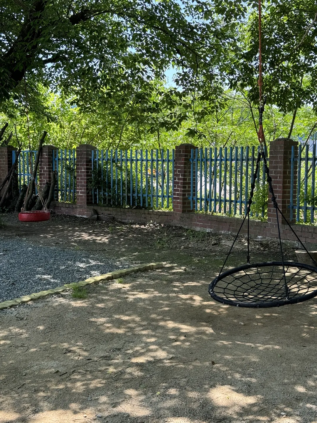 江州市学校キャンプ 写真 19