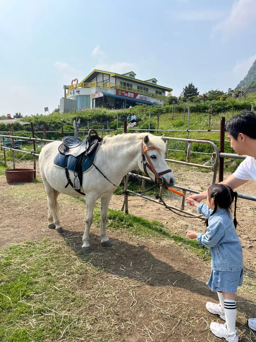 산방산 승마체험
