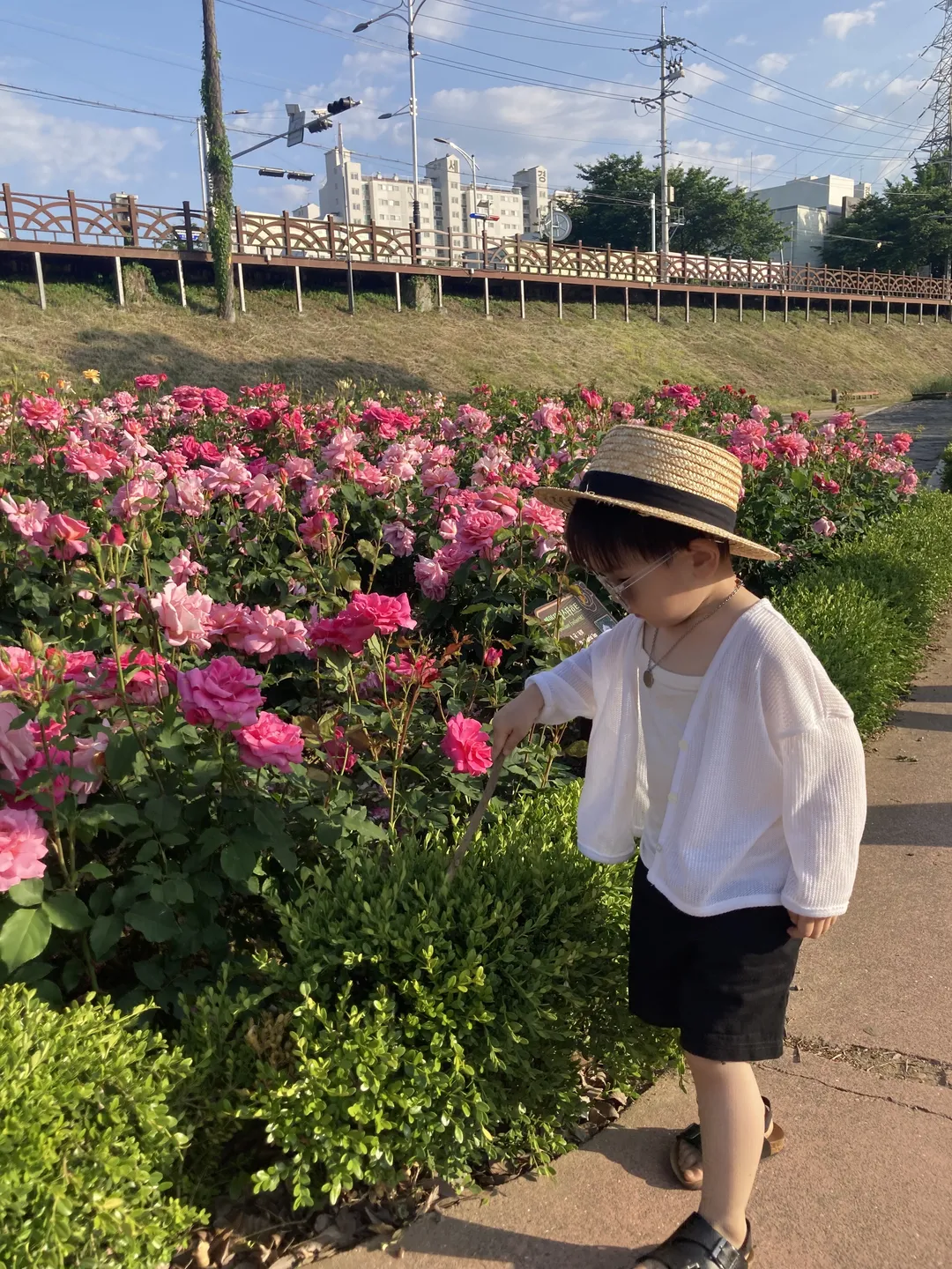 밀양장미공원