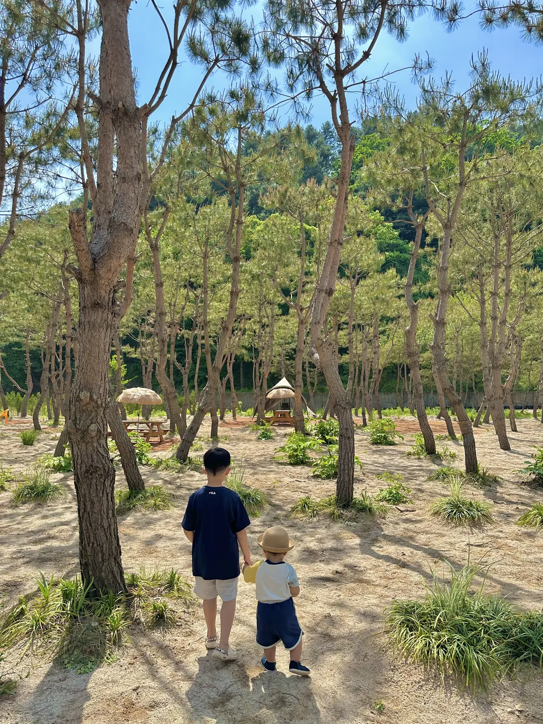 레오의 숲