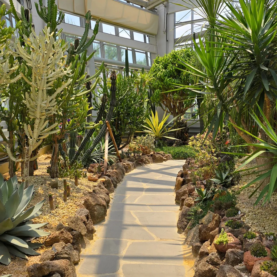 有機農産業複合サービス支援団地熱帯植物園 写真 19