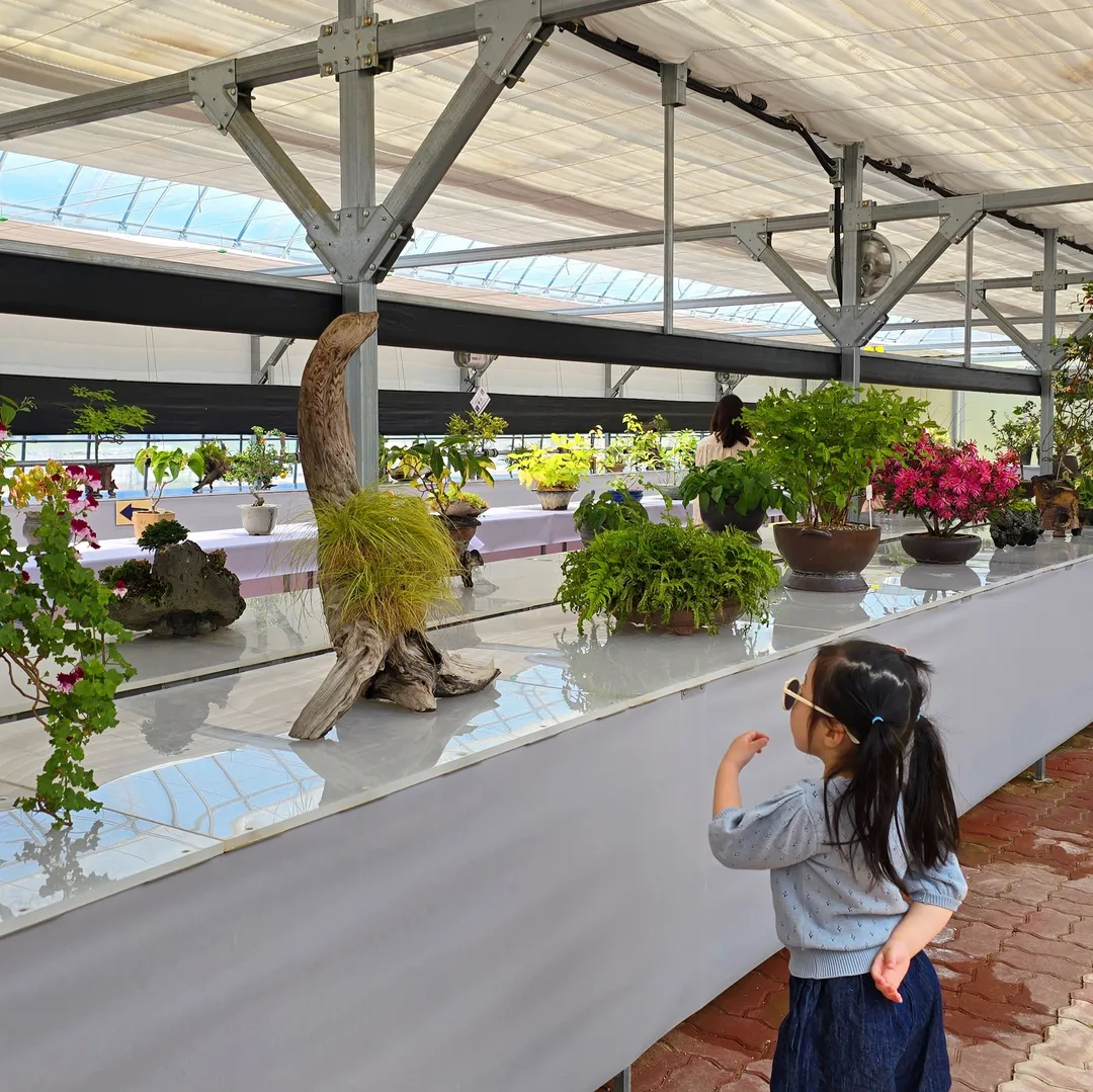 有機農産業複合サービス支援団地熱帯植物園 写真 6