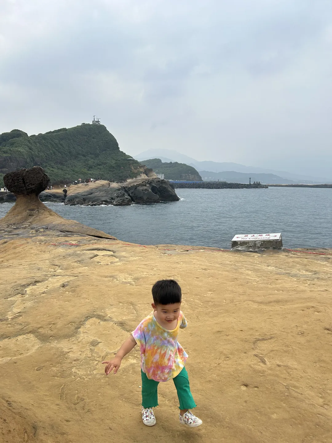台湾 野柳地質公園 写真 10
