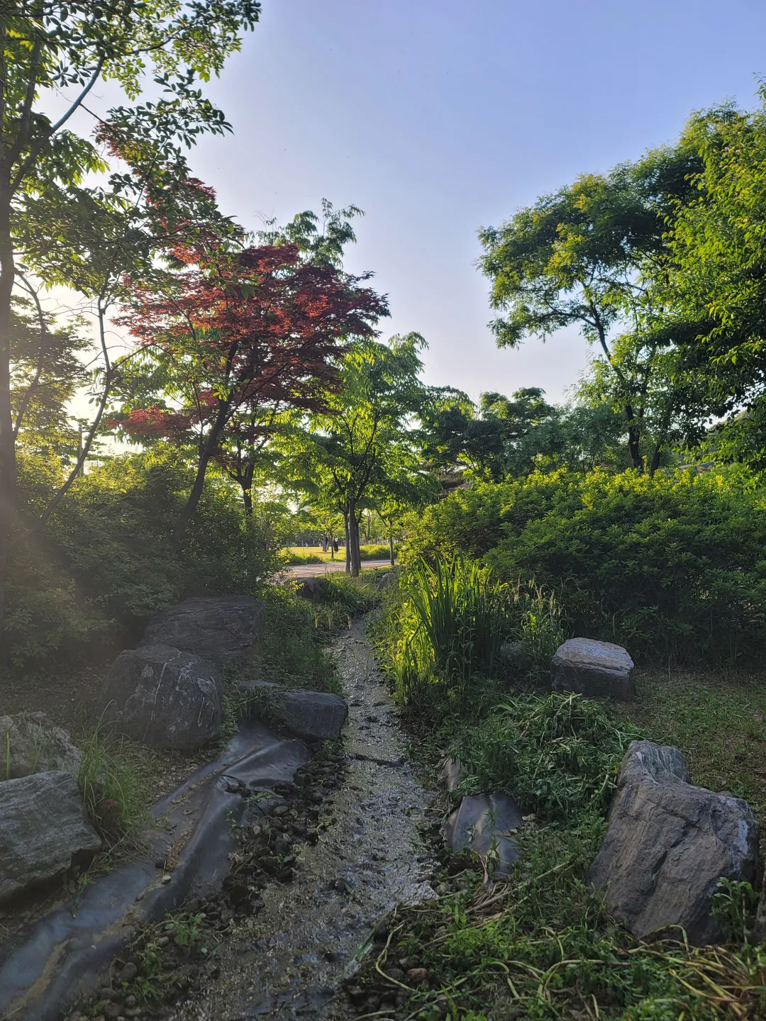エイプ 写真 14