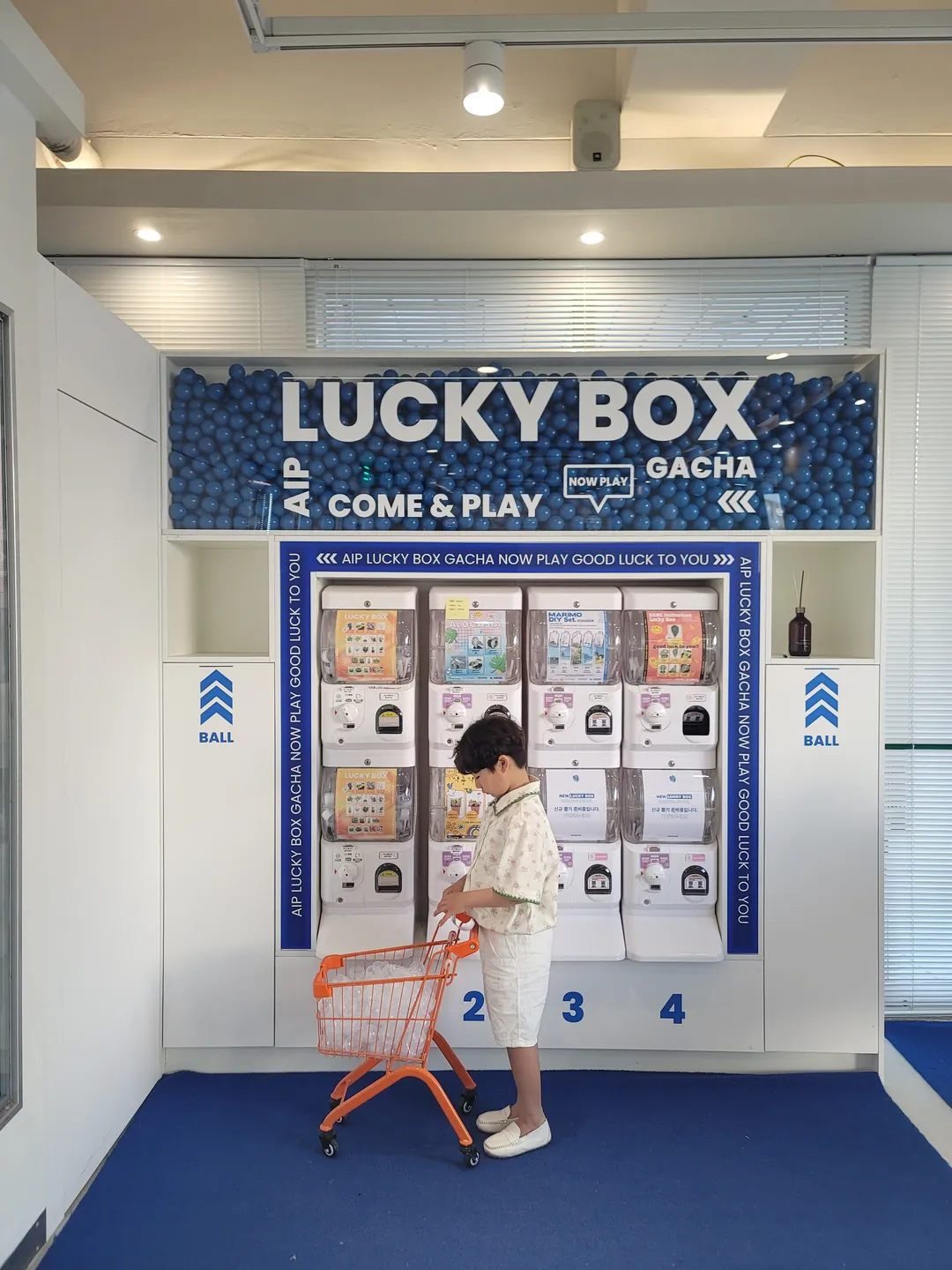 エイプ 写真 9