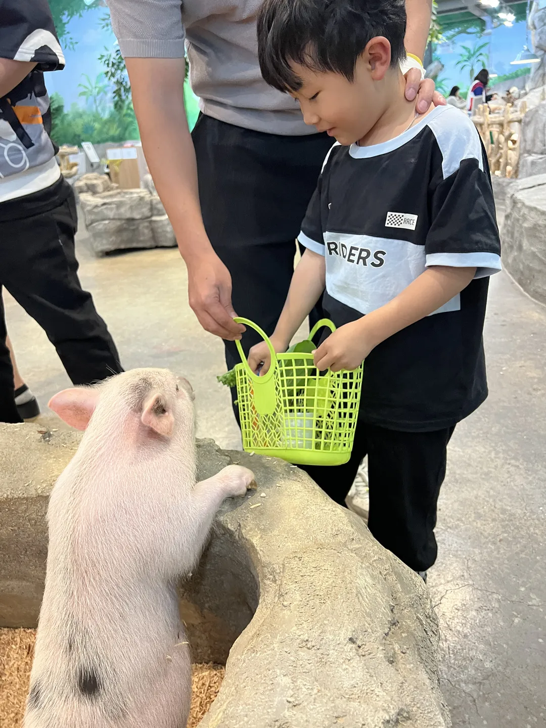 ジュニマル動物園 写真 14
