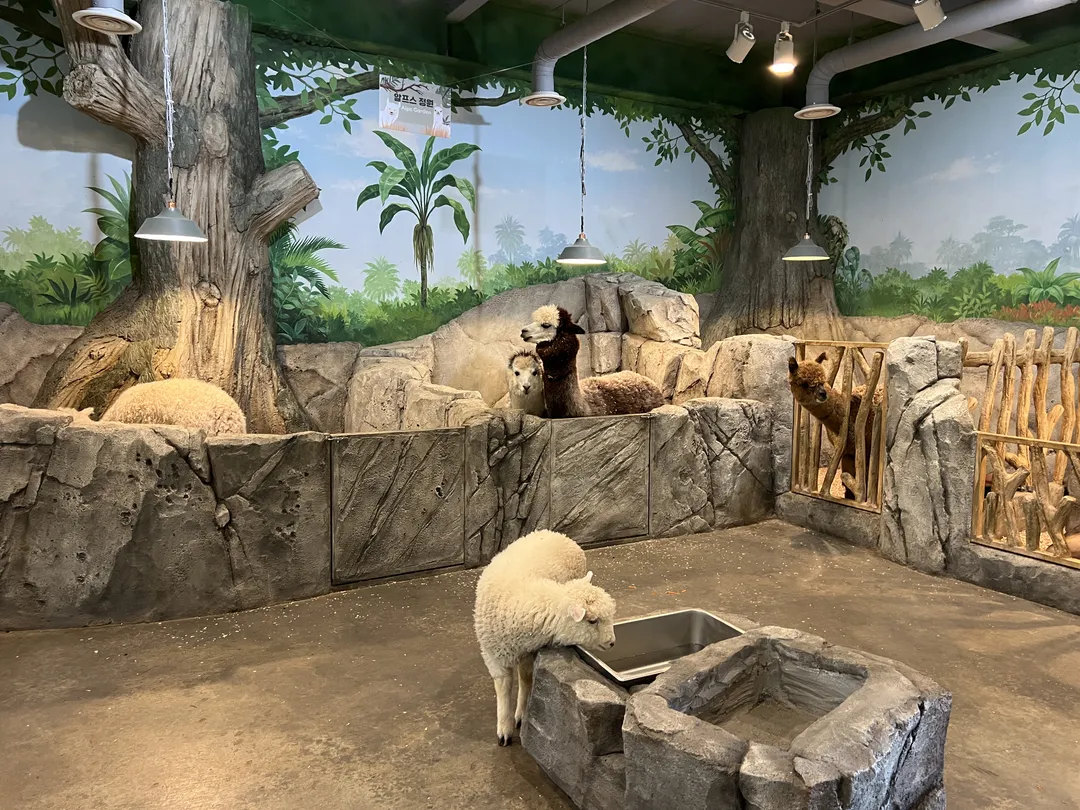 ジュニマル動物園 写真 15