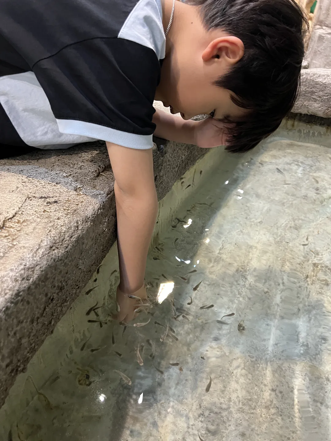 ジュニマル動物園 写真 7