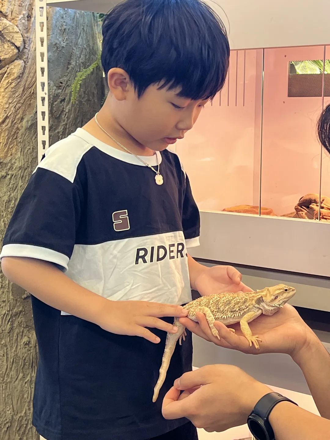 ジュニマル動物園 写真 10