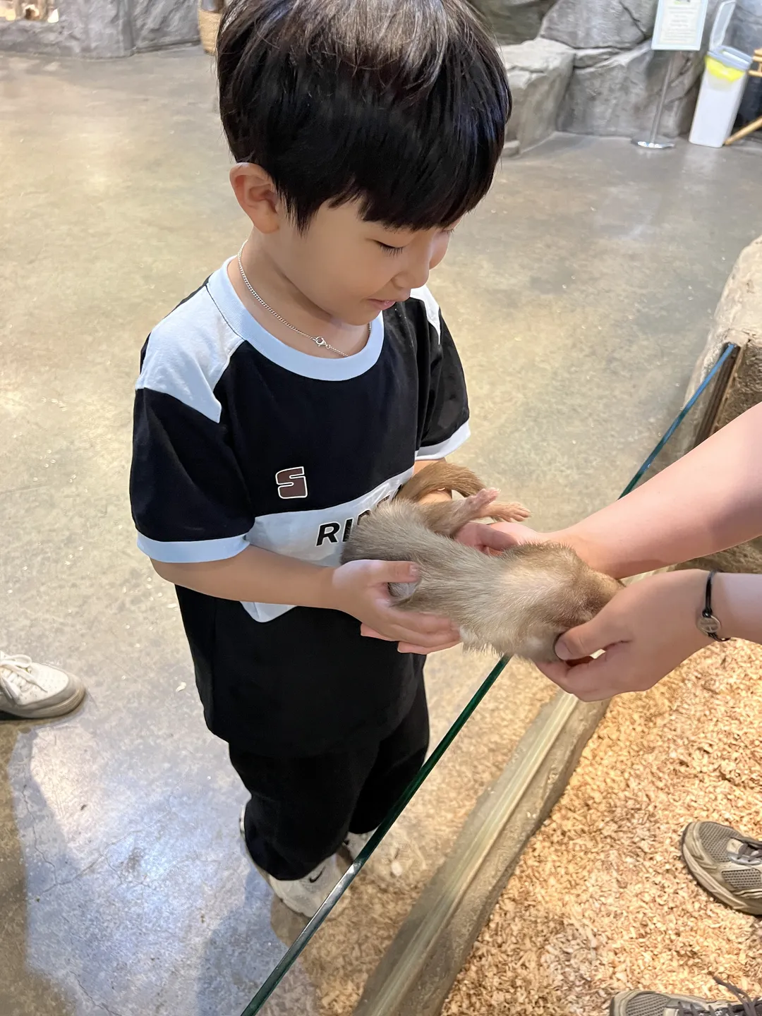 ジュニマル動物園 写真 18