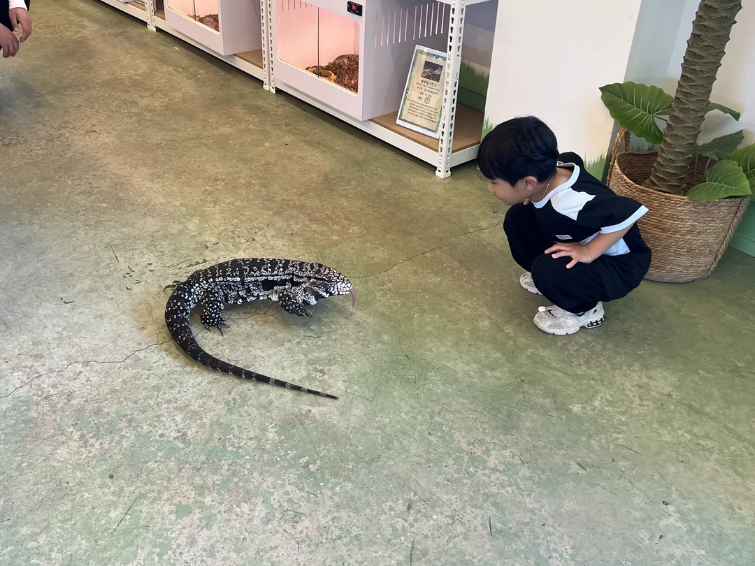 ジュニマル動物園 写真 8