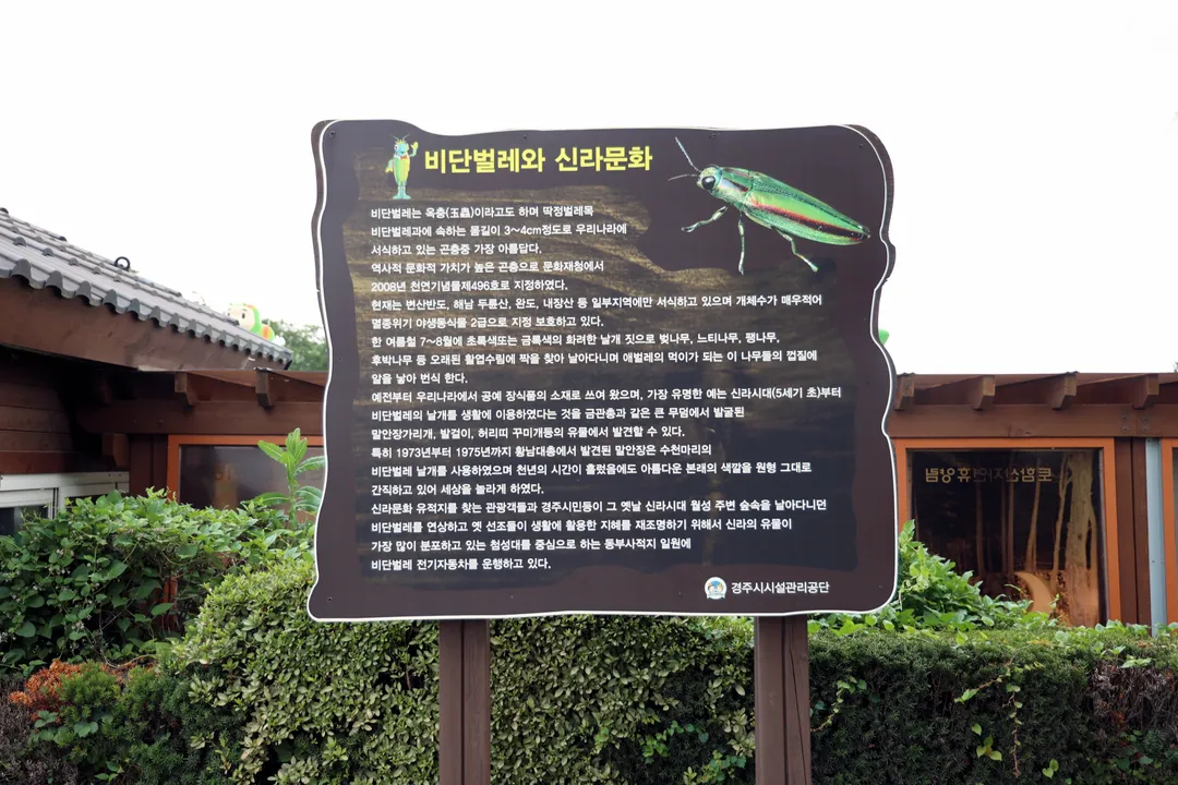 비단벌레전동차 사진 11